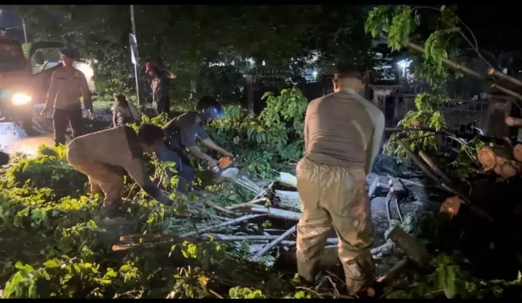 Brimob Polda Jambi Sigap Evakuasi Pohon Tumbang, Arus Lalu Lintas di Jalan Lintas Palembang Kembali Lancar