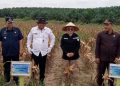 Kades Suko Awin Jaya Idawati Hadiri Panen Raya Jagung Serentak Kuartal II Tahun 2026 di Muaro Jambi