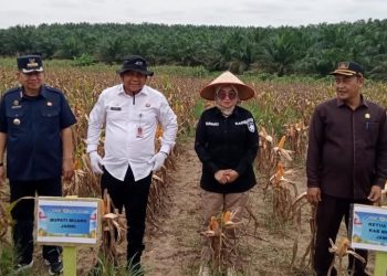 Kades Suko Awin Jaya Idawati Hadiri Panen Raya Jagung Serentak Kuartal II Tahun 2026 di Muaro Jambi