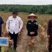 Kades Suko Awin Jaya Idawati Hadiri Panen Raya Jagung Serentak Kuartal II Tahun 2026 di Muaro Jambi
