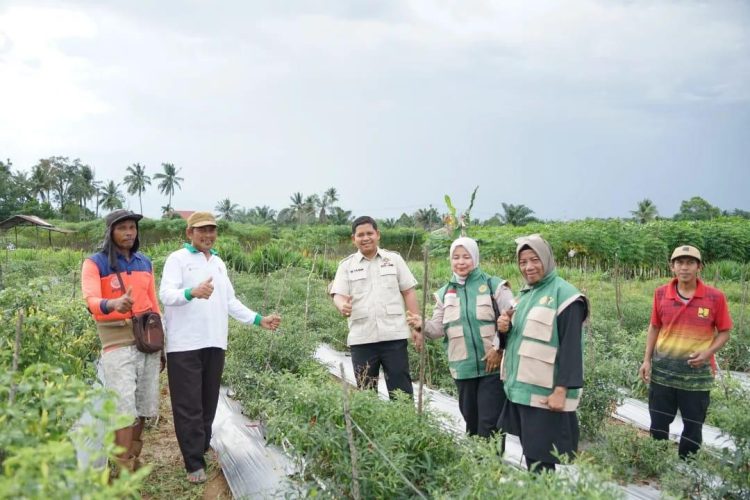 Dorong Penguatan Ketahanan Pangan, Wakil Ketua DPRD Kota Jambi, Muhammad Yasir Tinjau Panen Raya Jagung di Paal Lima