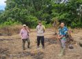 Bhabinkamtibmas dan Pemdes Mekar Alam Kanan Cek Lokasi Penanaman Jagung Dukung Ketahanan Pangan