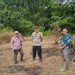Bhabinkamtibmas dan Pemdes Mekar Alam Kanan Cek Lokasi Penanaman Jagung Dukung Ketahanan Pangan