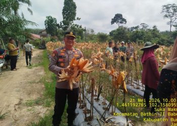 Konsep Otomatis