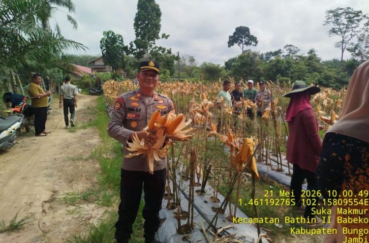 Konsep Otomatis
