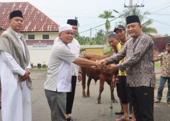 Konsep Otomatis