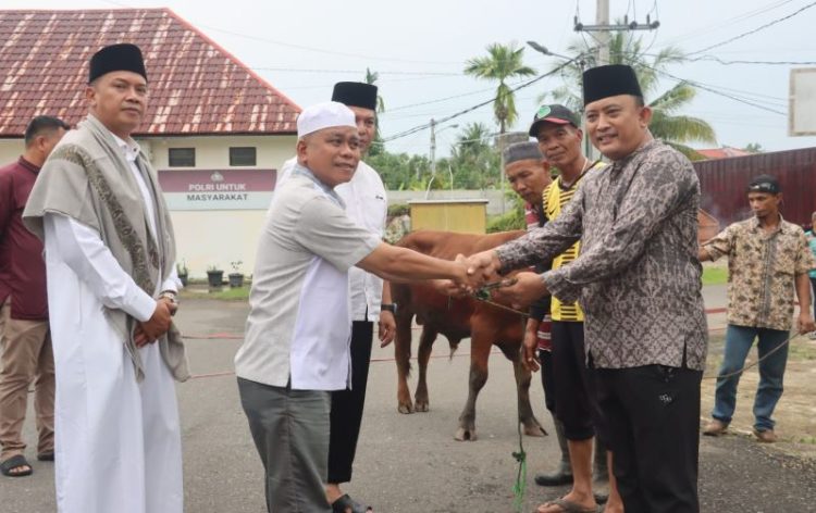 Konsep Otomatis