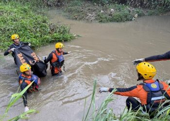 Pemprov Jambi Belum Buka Formasi CPNS 2026, Prioritaskan Penyelesaian PPPK