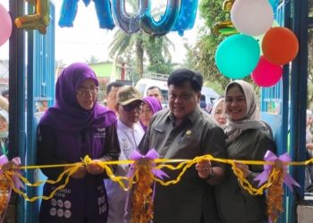 Pemkab Merangin Luncurkan Posyandu 6 SPM di Pamenang