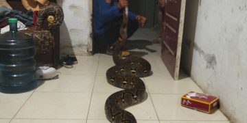 Bupati Tanjab Barat Hadiri Rapat Paripurna Hari Jadi ke-80 Kota Jambi, Teken MOU Kerjasama Antardaerah