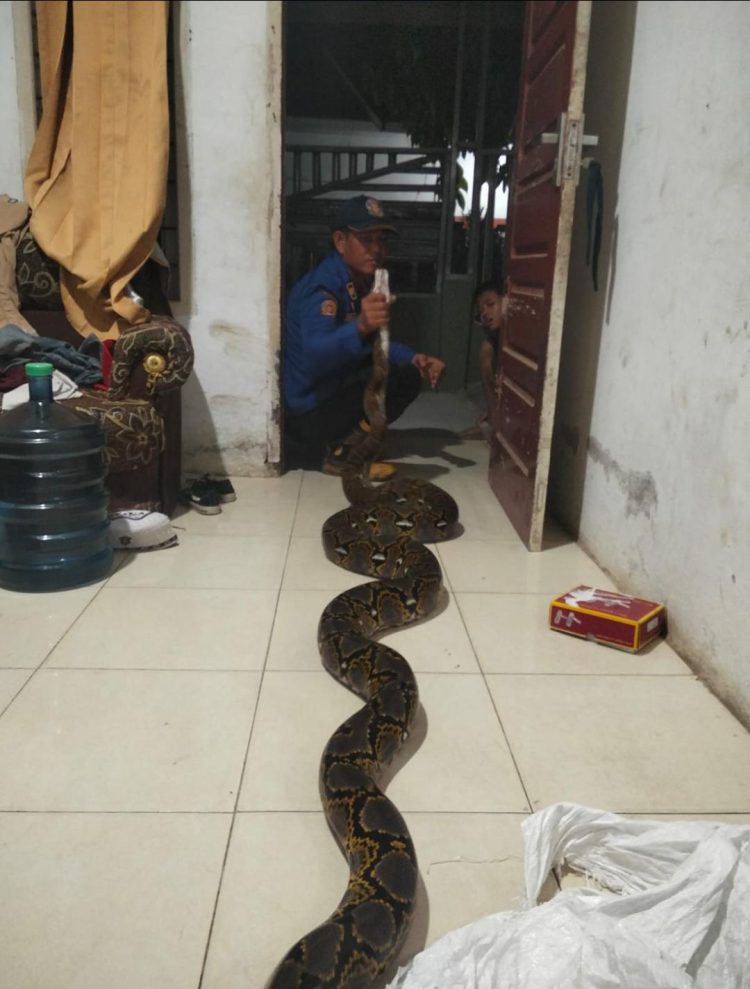 Bupati Tanjab Barat Hadiri Rapat Paripurna Hari Jadi ke-80 Kota Jambi, Teken MOU Kerjasama Antardaerah