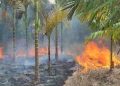 Rumah Orang Tua Mantan Pj Bupati Kerinci Terbakar