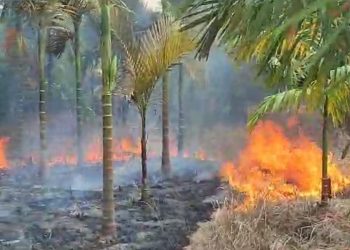 Rumah Orang Tua Mantan Pj Bupati Kerinci Terbakar