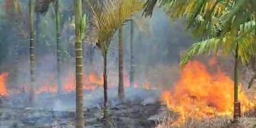 Rumah Orang Tua Mantan Pj Bupati Kerinci Terbakar