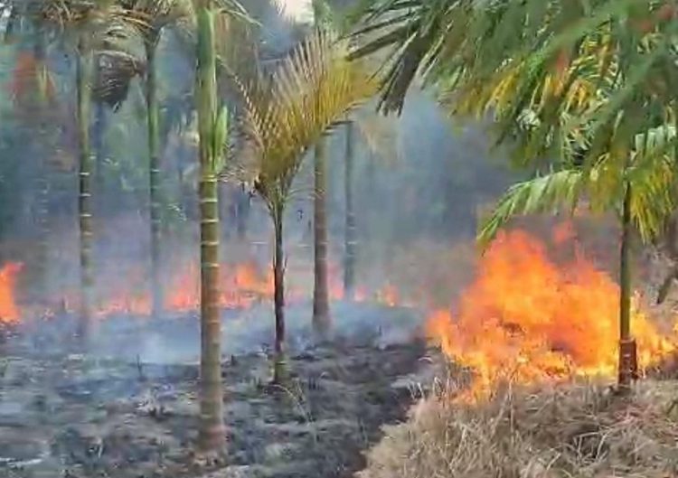 Rumah Orang Tua Mantan Pj Bupati Kerinci Terbakar