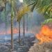 Rumah Orang Tua Mantan Pj Bupati Kerinci Terbakar