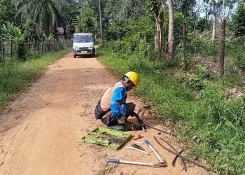 Warga Muaro Jambi Resah, Pencurian Kabel PLN Kembali Sebabkan Pemadaman Listrik