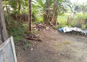 Warga Senaung Resah Atas Kejadian Maling Tiang Kayu Bulian