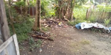 Warga Senaung Resah Atas Kejadian Maling Tiang Kayu Bulian