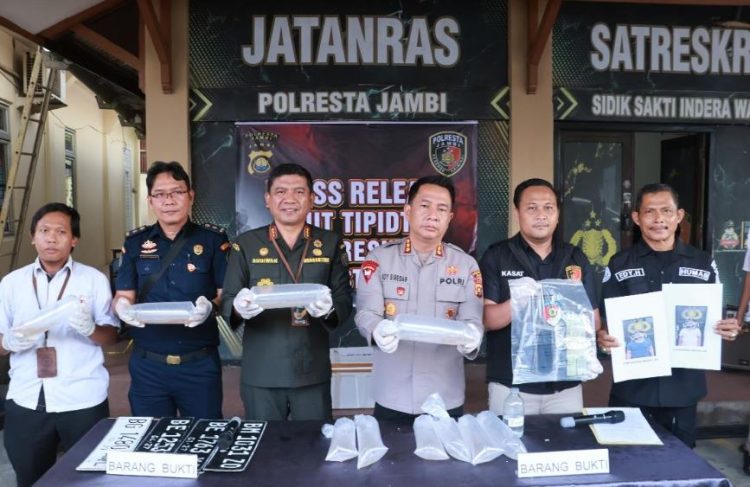 Polresta Jambi Gagalkan Penyelundupan 47.872 Benih Lobster Senilai Rp7,1 Miliar, Dua Pelaku Ditangkap