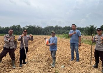Kapolsek Tungkal Ulu Bersama Pemdes Sri Agung dan Kelompok Tani Tanam Jagung Hibrida Dukung Ketahanan Pangan 2026 di Tanjab Barat