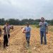 Kapolsek Tungkal Ulu Bersama Pemdes Sri Agung dan Kelompok Tani Tanam Jagung Hibrida Dukung Ketahanan Pangan 2026 di Tanjab Barat