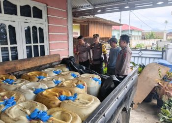 Acara Tahunan Jambi Elok Nian di Merangin Berlangsung Meriah
