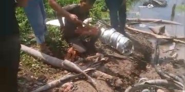 Terciduk Curi Kabel Tanam di Area Kebun Tanjung Sari, Pria Ini Diamankan Polisi