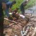 Terciduk Curi Kabel Tanam di Area Kebun Tanjung Sari, Pria Ini Diamankan Polisi