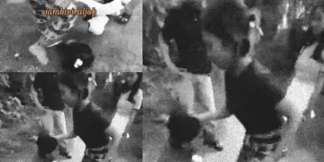 Niat Selamatkan Diri Karna Rem Blong, Kenek Truk Batu Bara Tewas Terlindas Saat Melompat