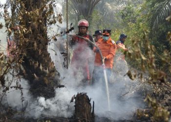 Ayo Cegah Karhutla, 156 Titik Api Terpantau Di Sarolangun Sejak Januari 2026