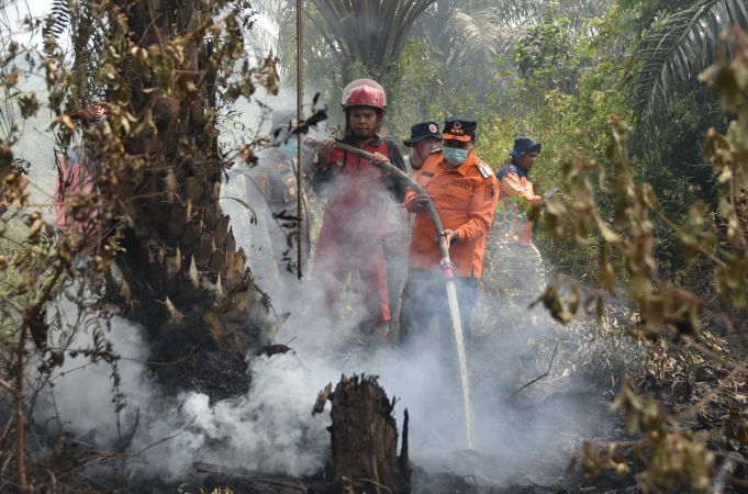 Ayo Cegah Karhutla, 156 Titik Api Terpantau Di Sarolangun Sejak Januari 2026