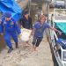 Satpolairud Polres Tanjung Jabung Barat Hadir Membantu Penumpang Kapal, Wujudkan Program Polisi Penolong