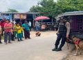 Sentuhan Humanis Polri Warnai Sosialisasi Ops Antik Siginjai 2026, K9 Polda Jambi Hibur dan Edukasi Siswa