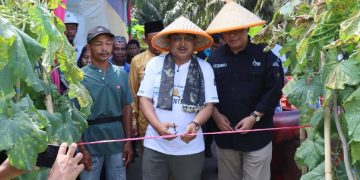 Bupati dan Wakil Bupati Panen Raya Melon di Kuala Dasal, Dorong Desa Menjadi Sentra Hortikultura Unggulan