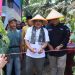 Bupati dan Wakil Bupati Panen Raya Melon di Kuala Dasal, Dorong Desa Menjadi Sentra Hortikultura Unggulan