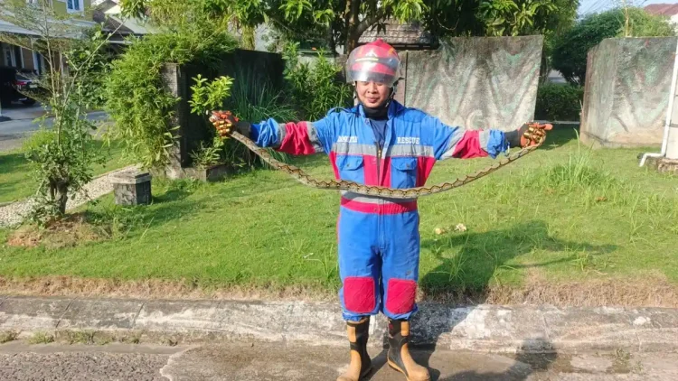 Kecelakaan Maut di Mendalo, Seorang Pengendara Motor Ditemukan Tewas di TKP