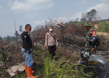 Ground Check Hotspot di Renah Mendaluh, Polsek Merlung Lakukan Pendinginan dan Pengawasan Lokasi Terbakar