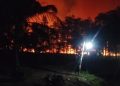 Wawako Jambi Terima Lencana Darma Bakti Pramuka dari Ketua Kwartir Nasional Gerakan Pramuka