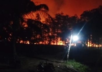 Wawako Jambi Terima Lencana Darma Bakti Pramuka dari Ketua Kwartir Nasional Gerakan Pramuka