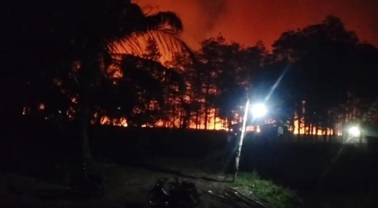 Wawako Jambi Terima Lencana Darma Bakti Pramuka dari Ketua Kwartir Nasional Gerakan Pramuka