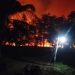 Wawako Jambi Terima Lencana Darma Bakti Pramuka dari Ketua Kwartir Nasional Gerakan Pramuka