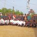 Semarak HUT RI ke-81, Bhabinkamtibmas Polsek Merlung Hadiri Senam dan Lomba PKK Bersama Warga