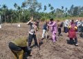 Dukung Ketahanan Pangan Nasional, Polsek Tungkal Ilir Dampingi Penanaman Jagung di Bram Itam Raya