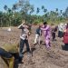 Dukung Ketahanan Pangan Nasional, Polsek Tungkal Ilir Dampingi Penanaman Jagung di Bram Itam Raya