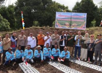 Kapolres Merangin Turun Langsung Tanam Bawang Putih, Dukung Swasembada Pangan
