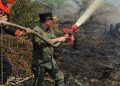 Turun Langsung Padamkan Karhutla di Air Merah, Gubernur Al Haris: Api Sudah 3 Hari, Gambut Sulit Dipadamkan