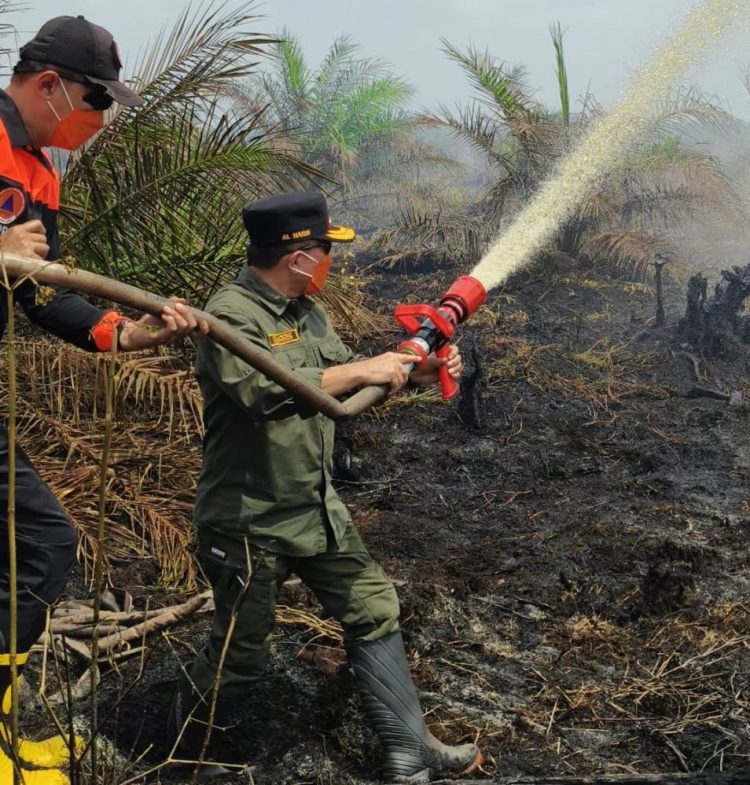 Turun Langsung Padamkan Karhutla di Air Merah, Gubernur Al Haris: Api Sudah 3 Hari, Gambut Sulit Dipadamkan