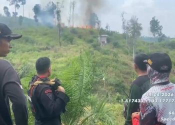 Satgas Karhutla Gabungan Temukan dan Padamkan Titik Api Saat Patroli Karhutla di Tahura Batanghari
