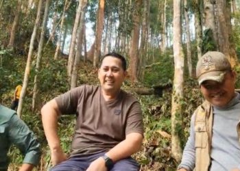 Takjub, Bupati M. Syukur Bandingkan Rio Kemunyang dengan Hutan Adat Ubud di Bali